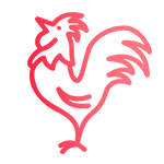 cock